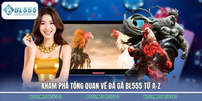 Khám phá tổng quan về đá gà BL555 từ A–Z